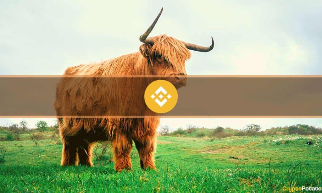 Binance Coin (BNB) Flips Ripple (XRP) Following Record-Breaking Price Surge Binance Coin (BNB) Flips Ripple (XRP) Following Record-Breaking Price Surge