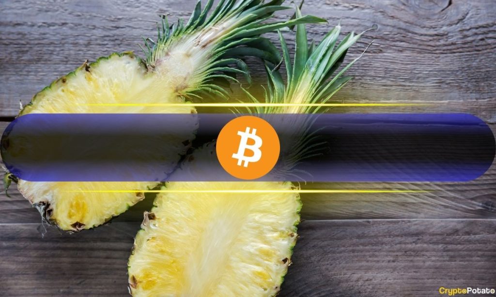 Bitcoin's (BTC) Double-Digit Post-Halving Surge Hasn't Hit Overbought Yet