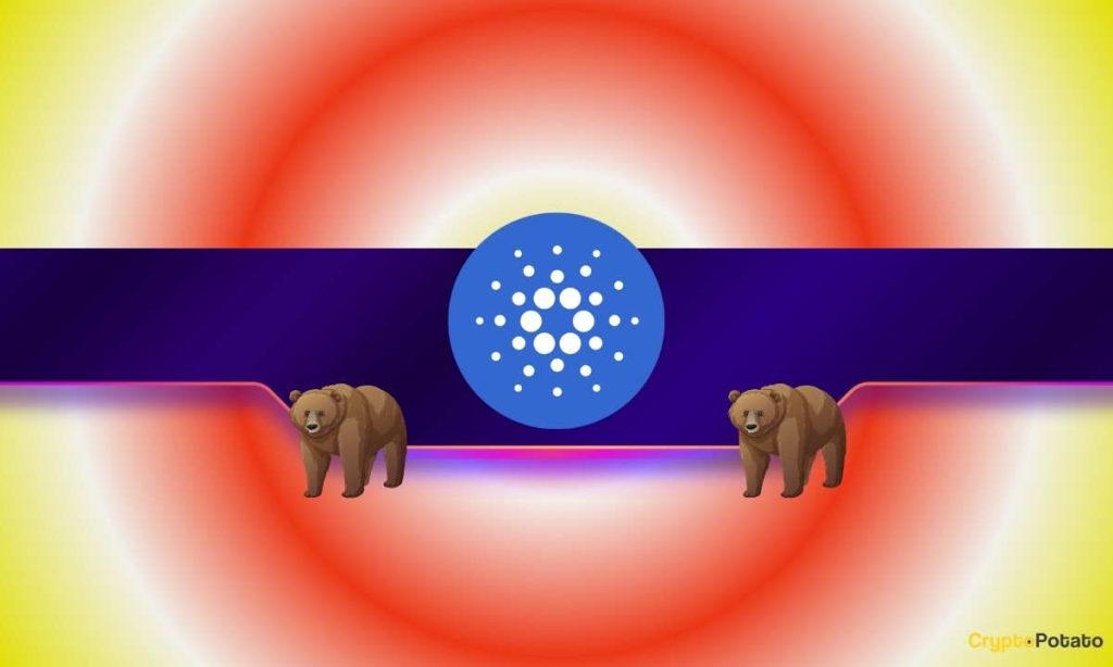 Cardano Hits 1-Year Low as Whales Exit