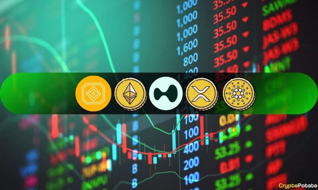 ETH, XRP, ADA, BNB, and HYPE