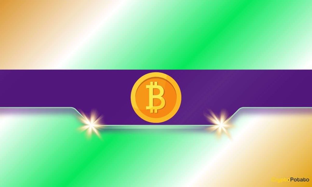 New Buyers Flood the Bitcoin Market