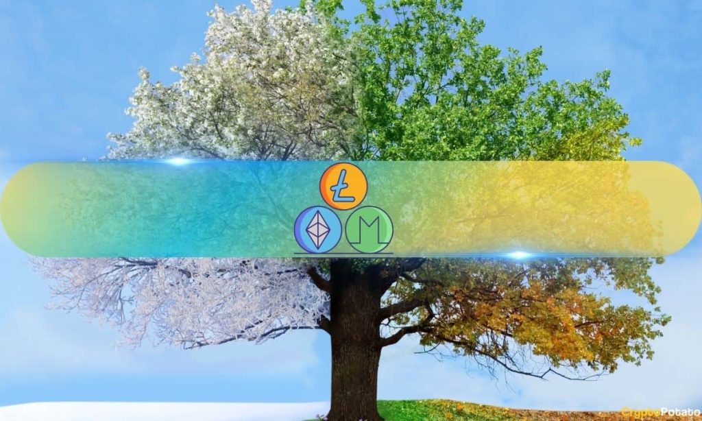 Will Altcoins Seize the Next Liquidity Wave?